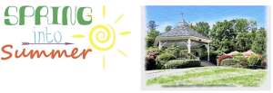 SPRING INTO SUMMER @ Sunapee Harbor
